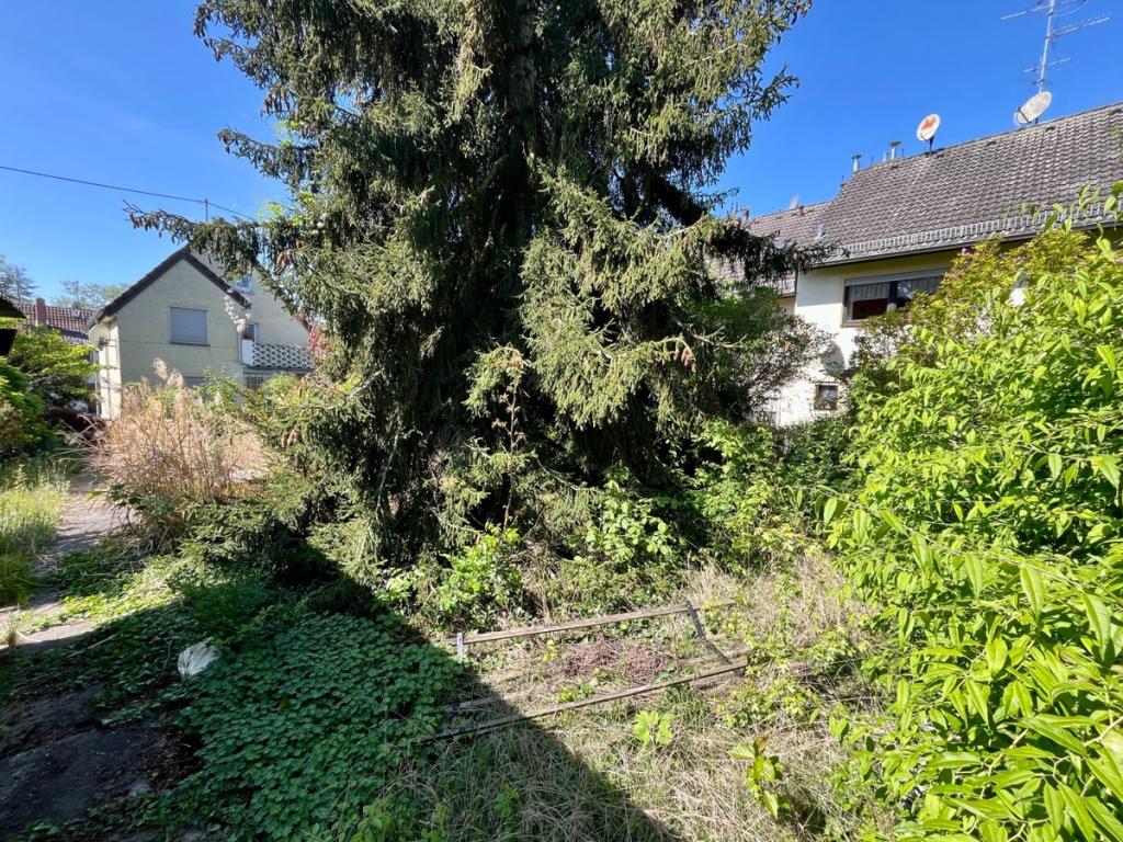 Garten 4