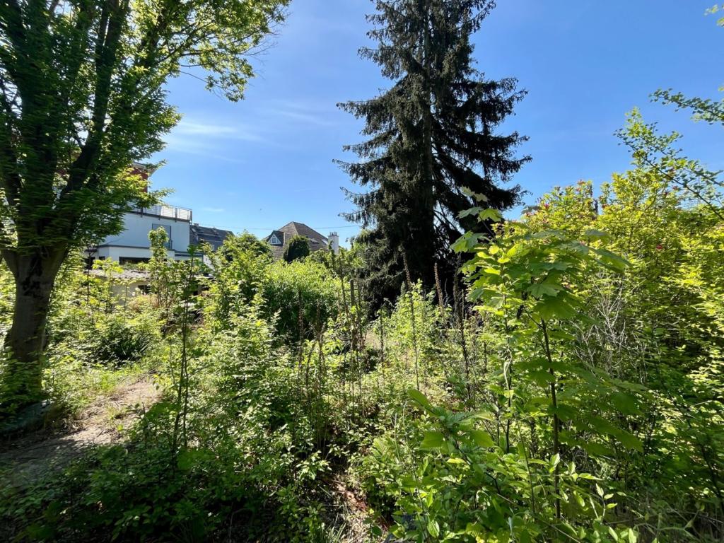 Garten 3