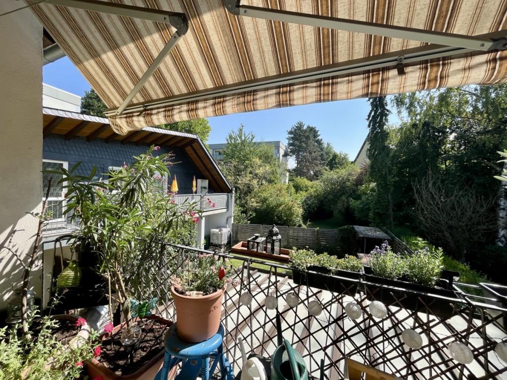 Blick in den Garten