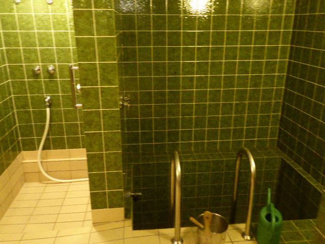 Dusche-Kaltwasserbecken-Wellness