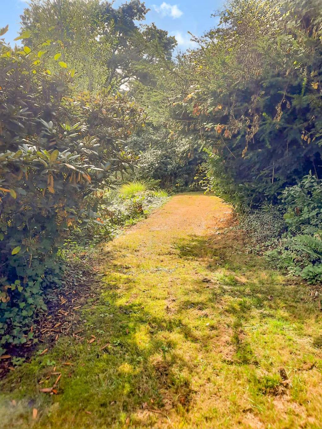 Garten Nr. 5