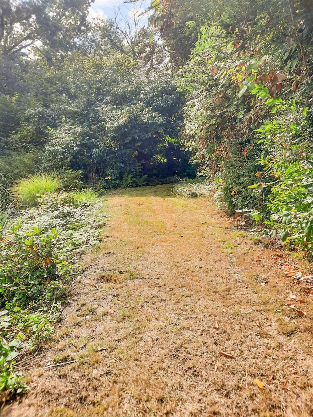 Garten Nr. 4