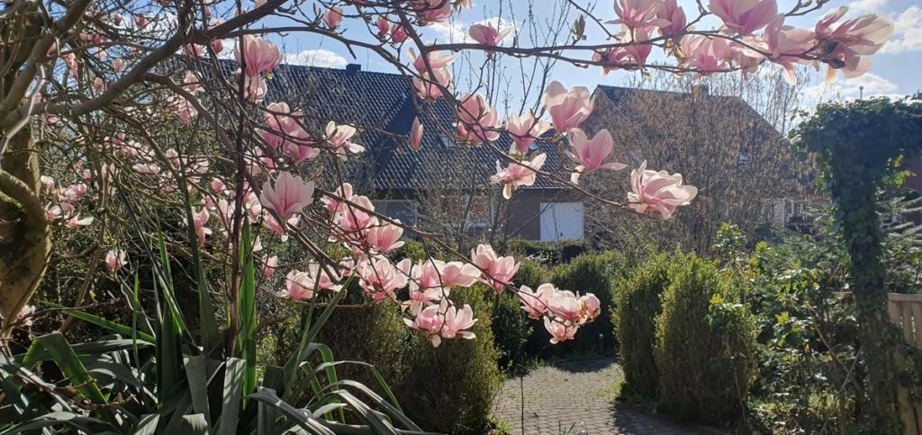 Ansicht