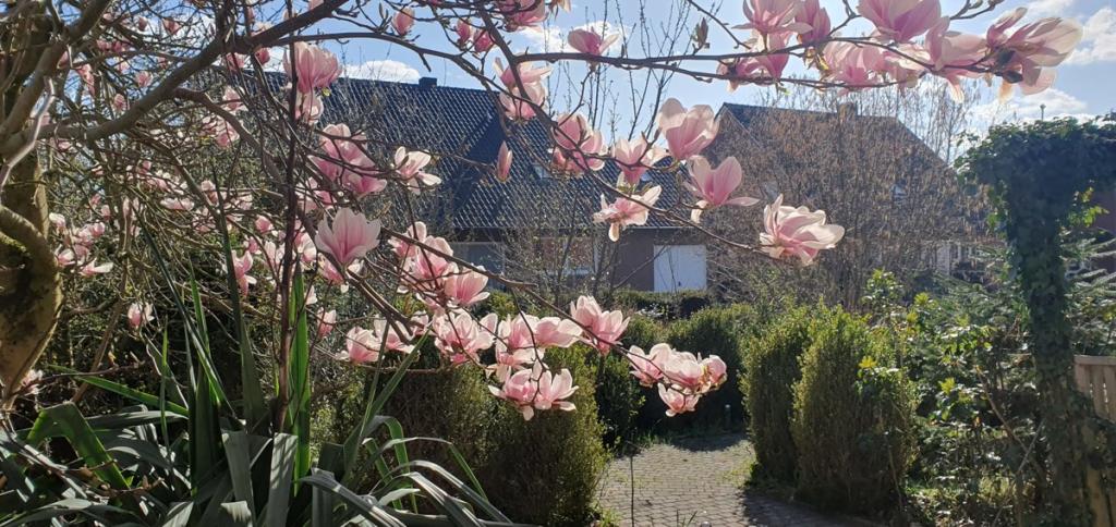 Ansicht