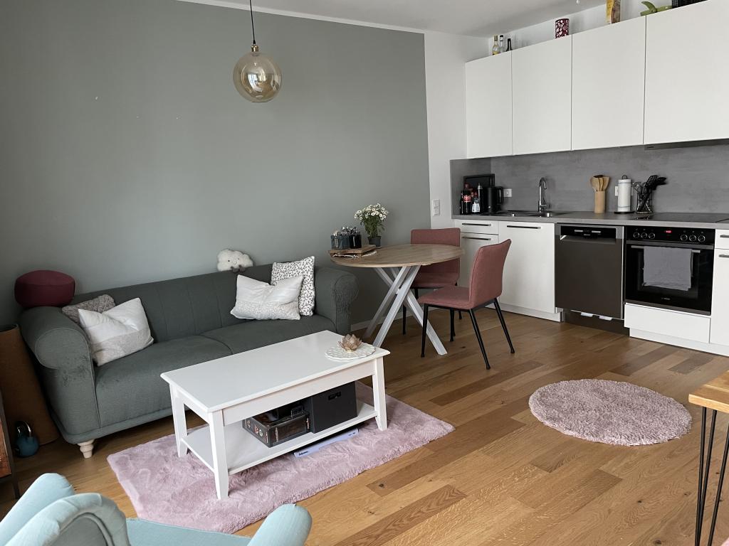 Wohnzimmer / Einbauküche 