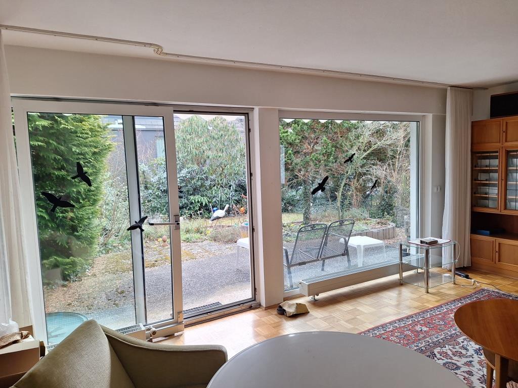 EG Fensterfront