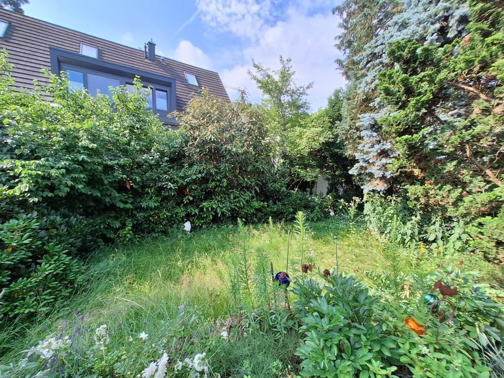 Garten Bild 2
