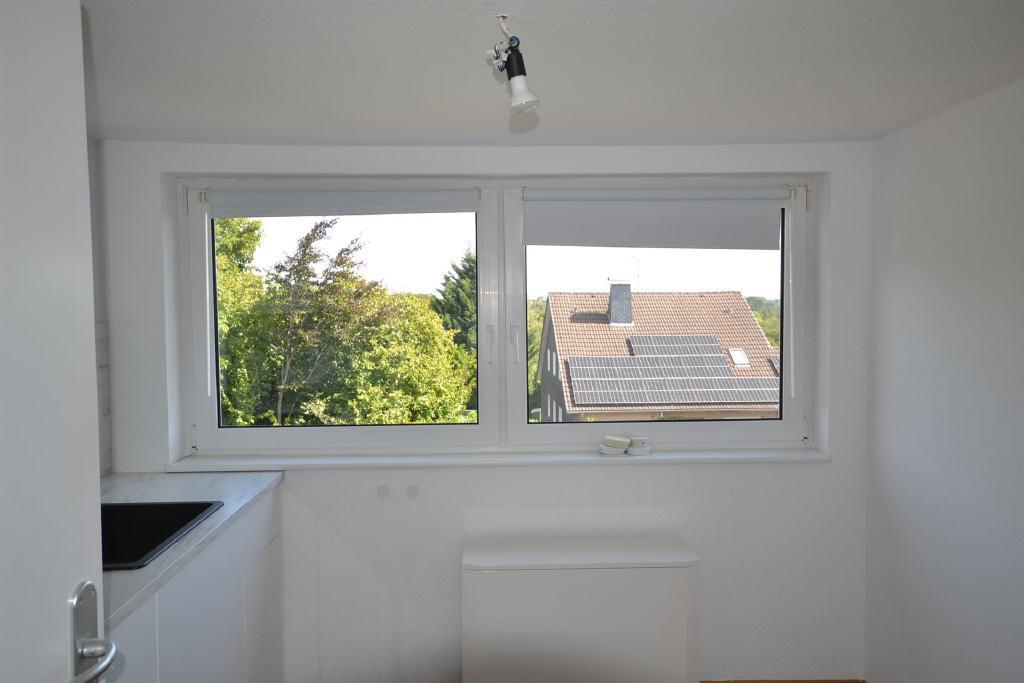 Bild8