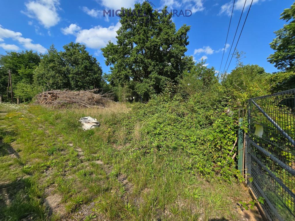 3783652-KzvL6zQXhfK26Twq9ucH1gb4-RUID8a845b3318634bfe9db4bfe804dfa660.jpg