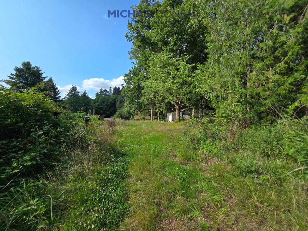 3783652-cvQXW4Gje7bPtnaDM43niYVU-RUIDec23955bb554481d8fa8e5a1df39a7a1.jpg