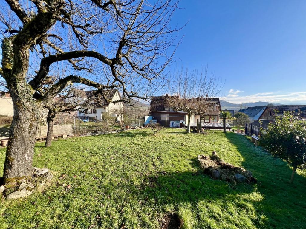 Garten mit Baugrundstück