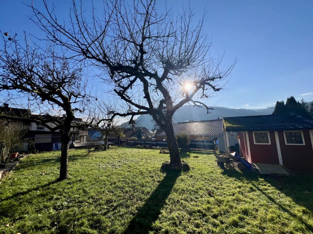 Garten mit Baugrundstück