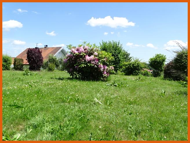 Garten mit Aussicht