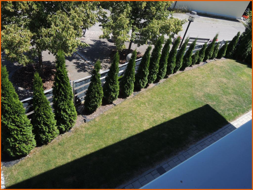 Garten eingefasst