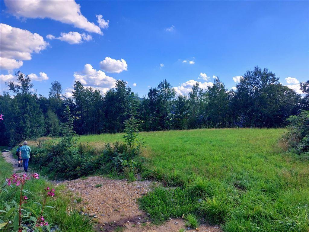 Idyllische Landschaft