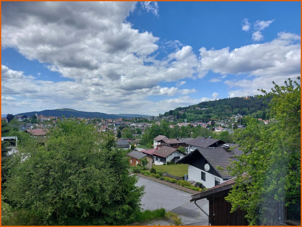 Blick über Bodenmais