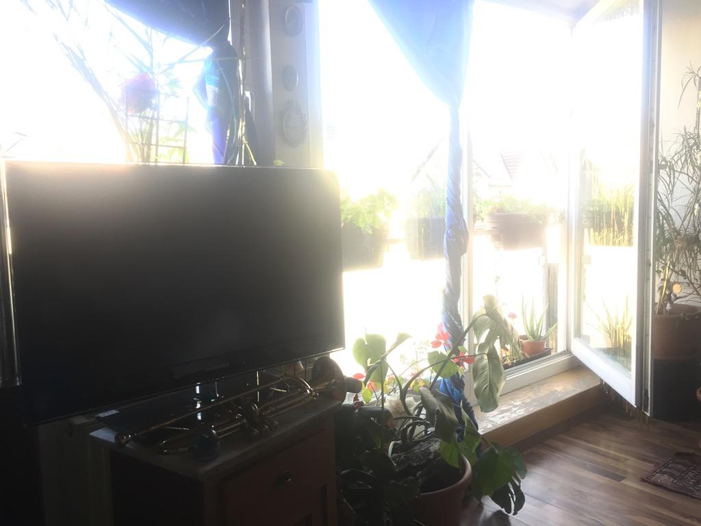 Wohnung in Weil am Rhein (Friedlingen) - Foto 4