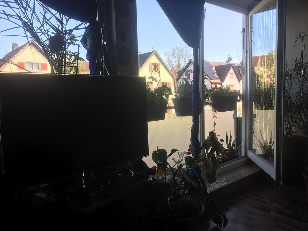 Wohnung in Weil am Rhein (Friedlingen) - Foto 1