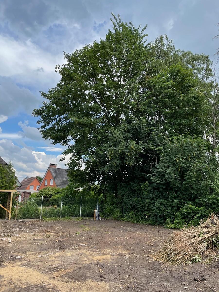 Ansicht 3