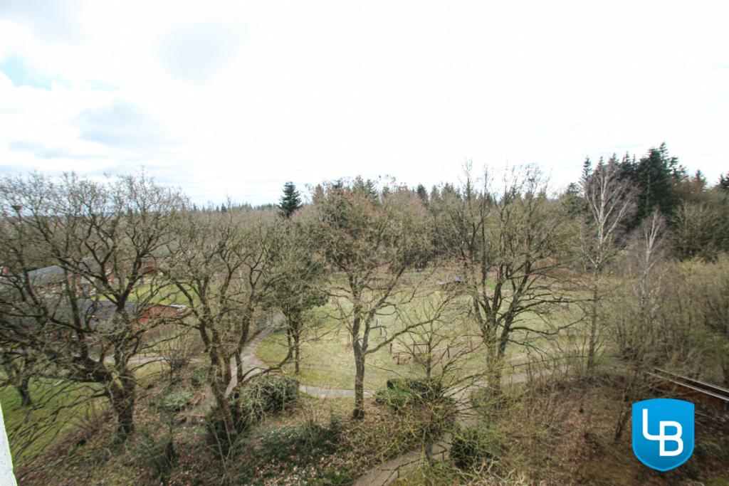 Der Ausblick