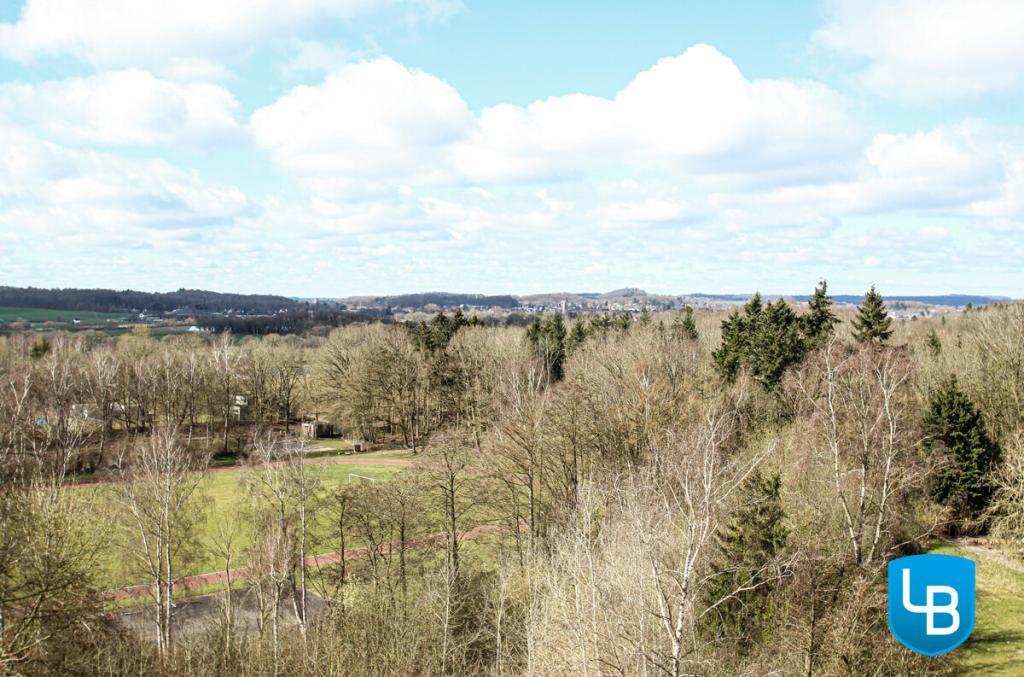 Der Ausblick