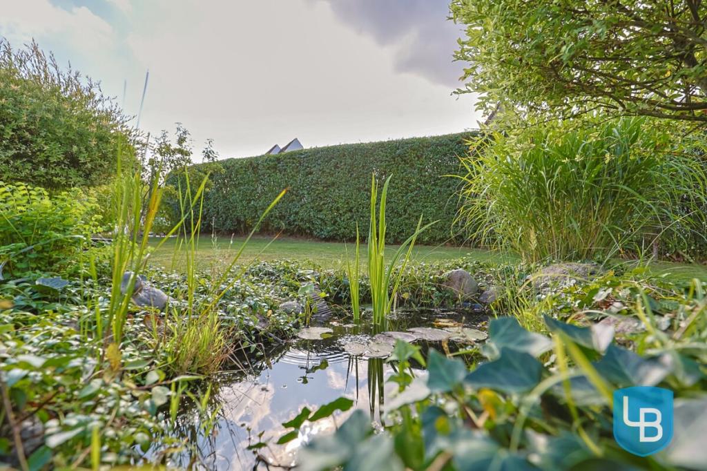 Gartenteich 