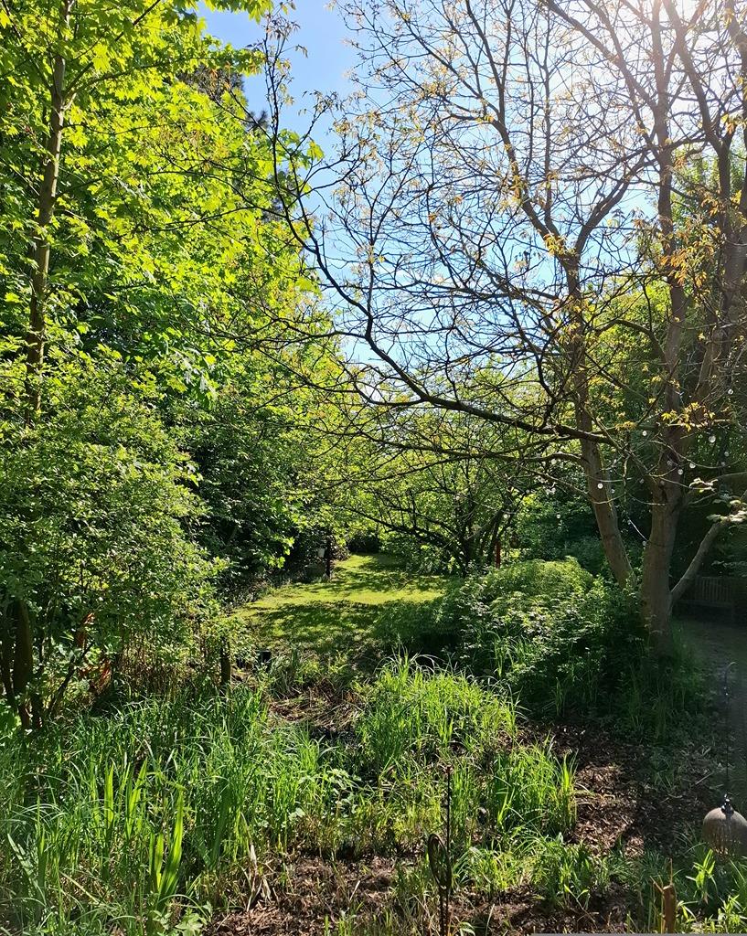 Garten.jpg