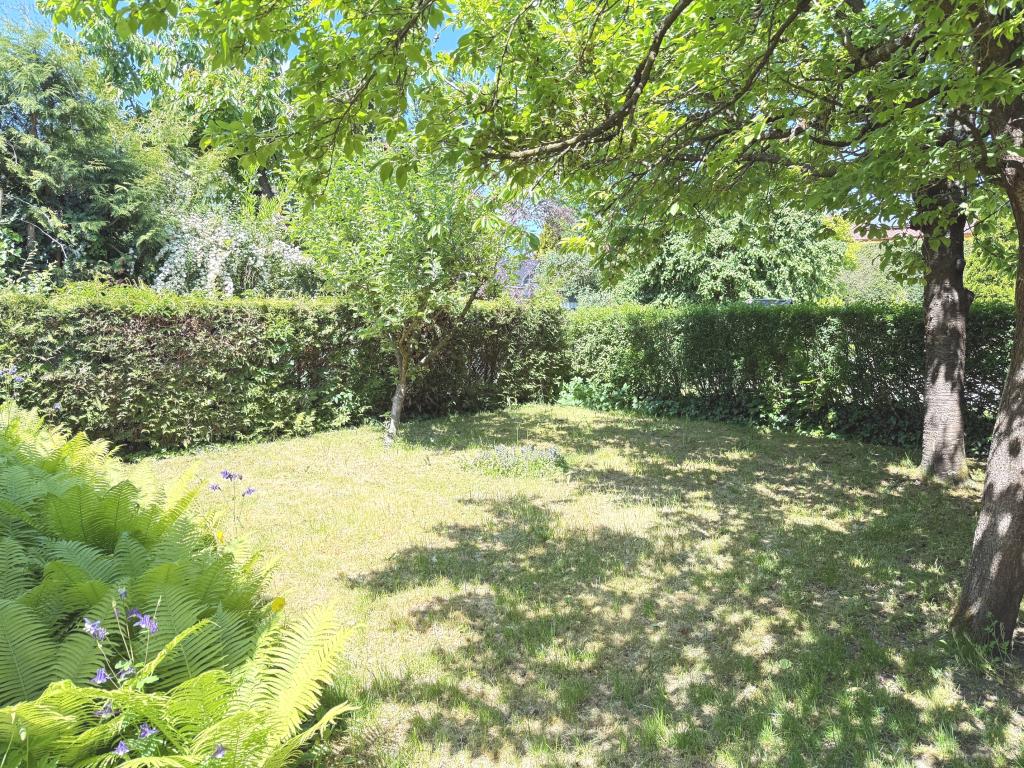 Garten-Bild2_0492