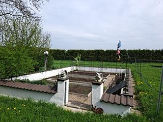 Immobilie in Hilpoltstein -  - Bild 2