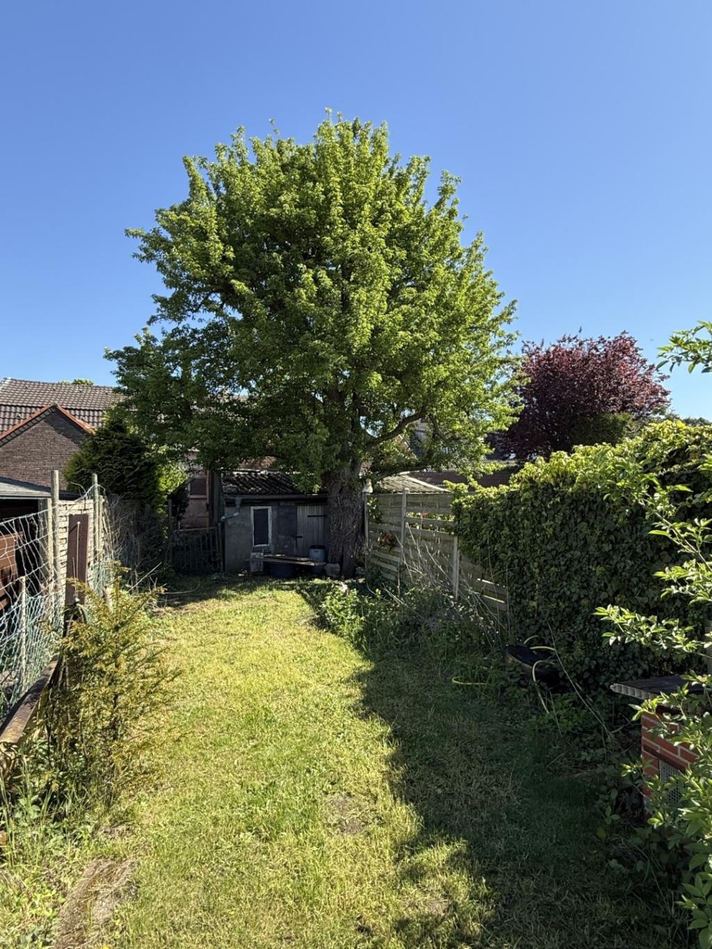 5 Garten hinten Ansicht 2