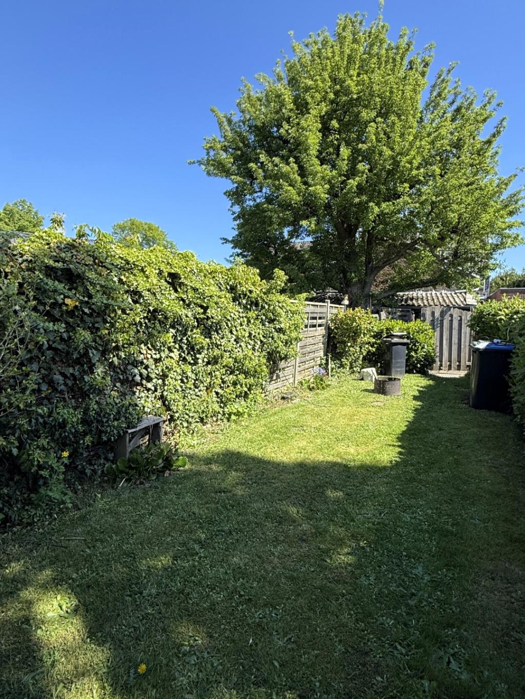 4 Garten Ansicht 1
