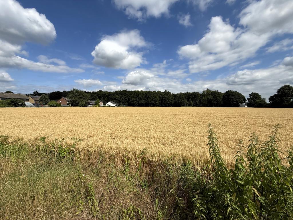 Ackerland