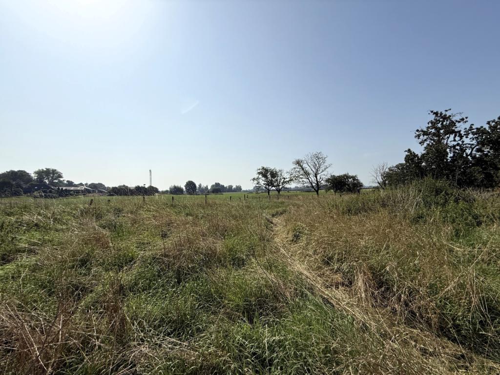 12b Blick über Wiesen und Felder