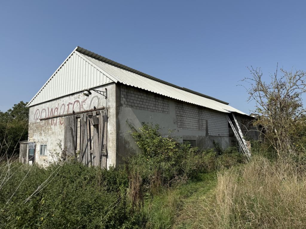 10 Schweinestall mit neuer Eindeckung