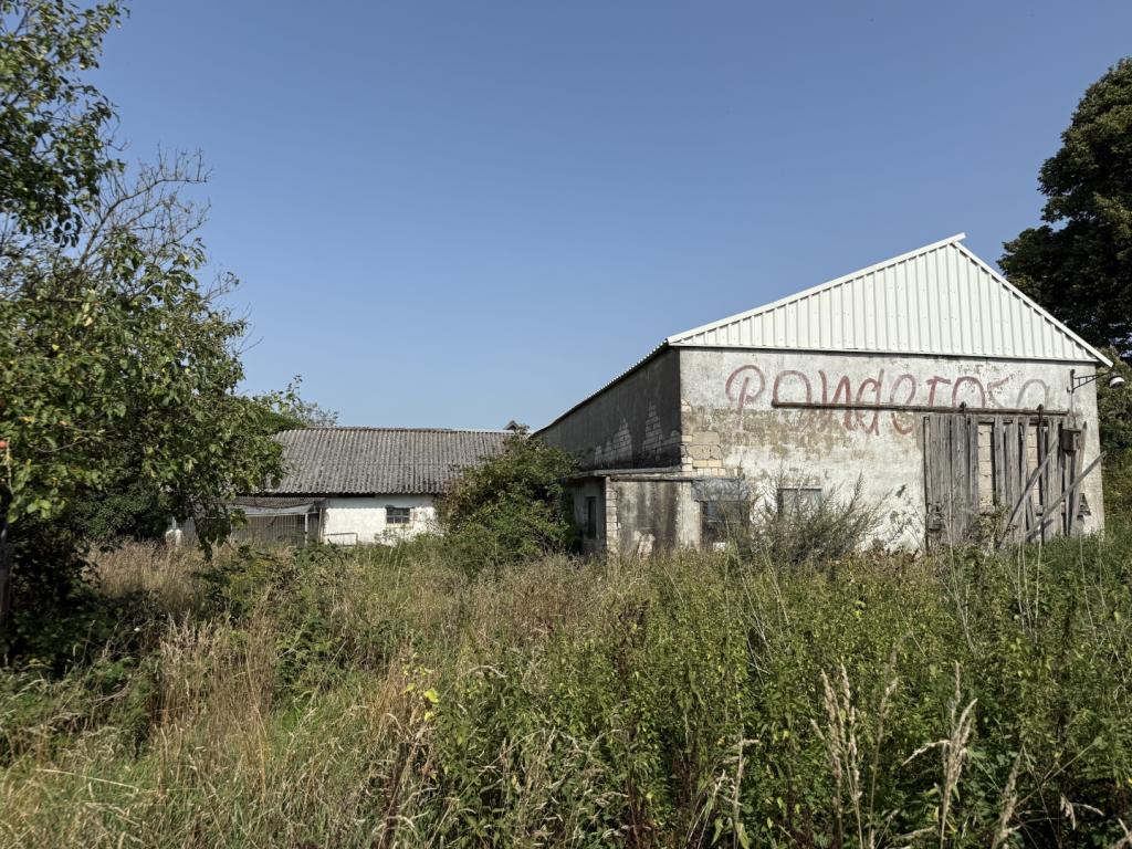 12 Rückansicht Stall und Schweinestall