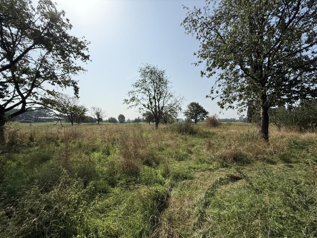 12a Blick auf die Rückseitige Obstwiese