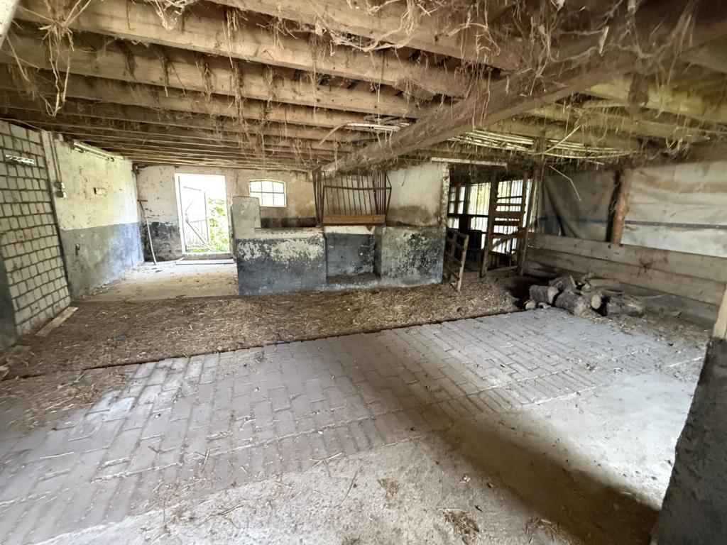 11 Schweinestall innen