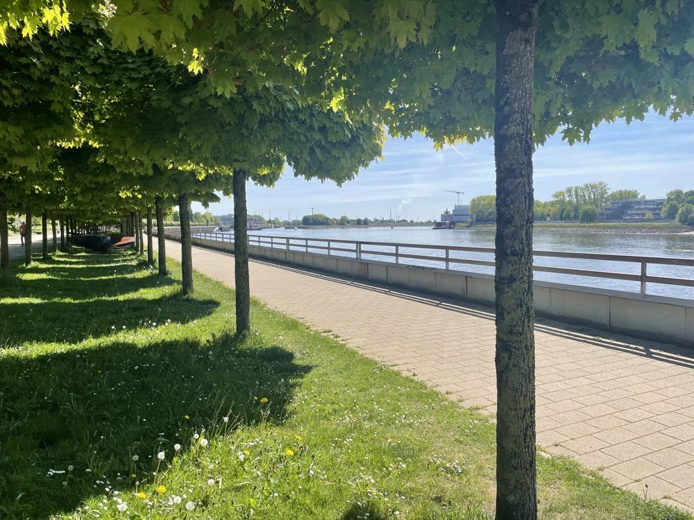 Eine Runde spazieren? 