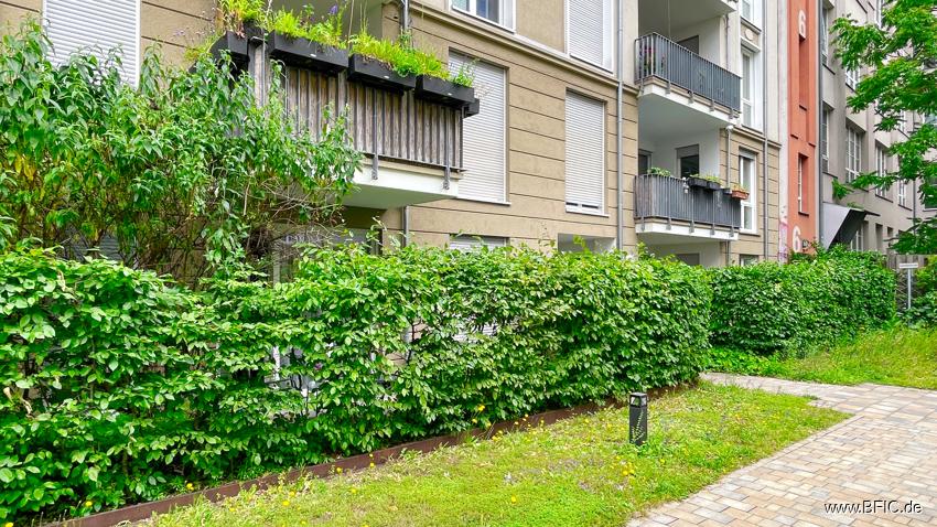 Garten (2025)