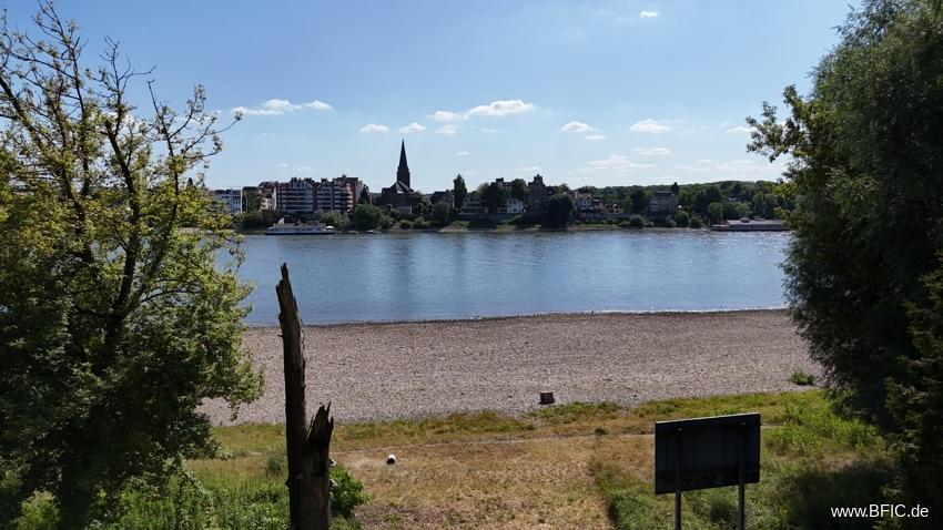 Idylle am Rhein