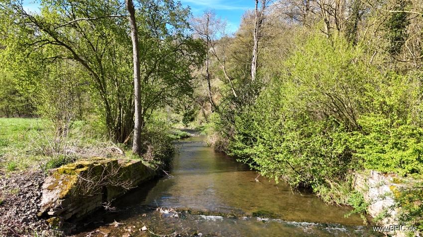 Fluss Erft am Campingplatz