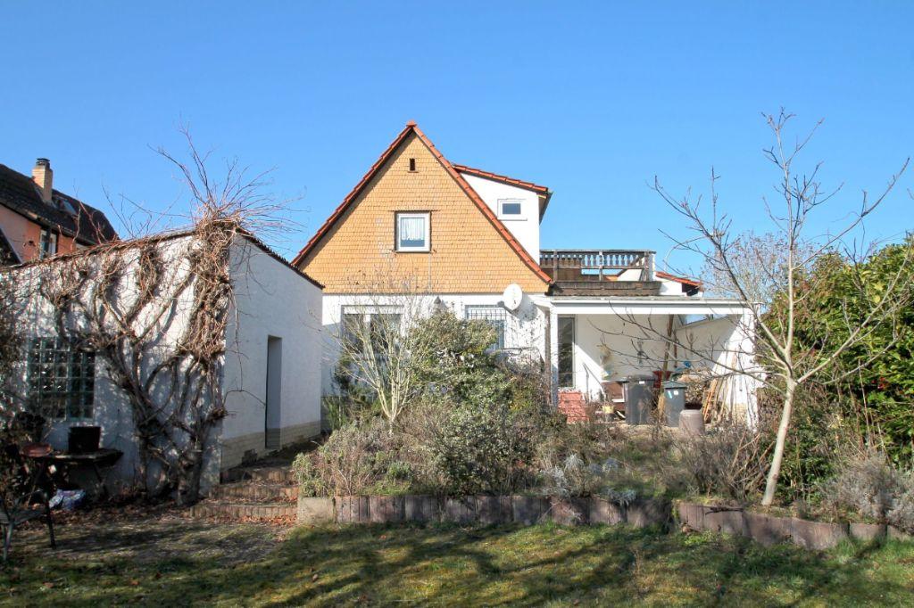 Bild1