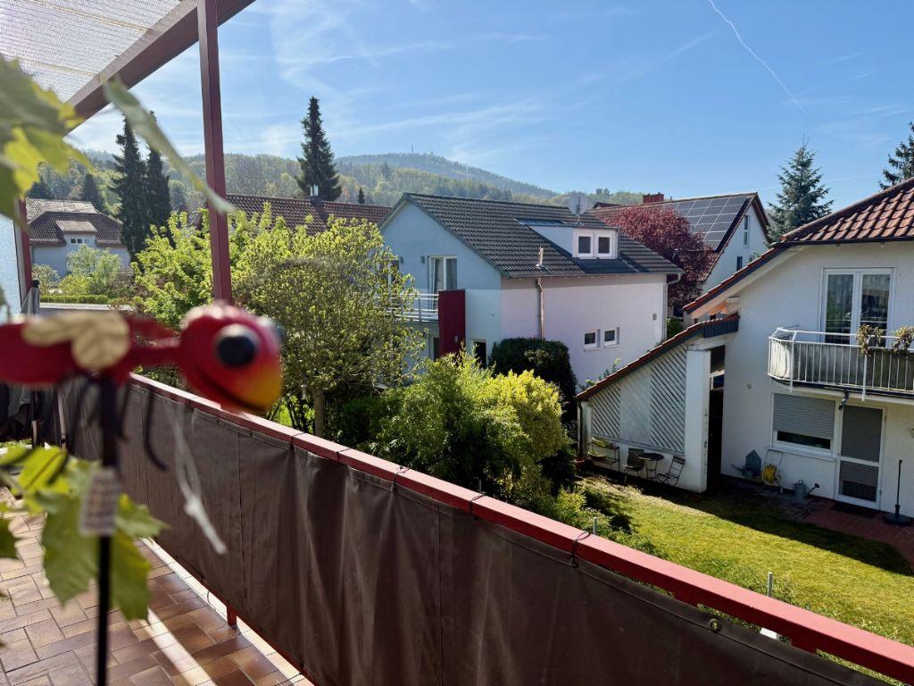 Bild3