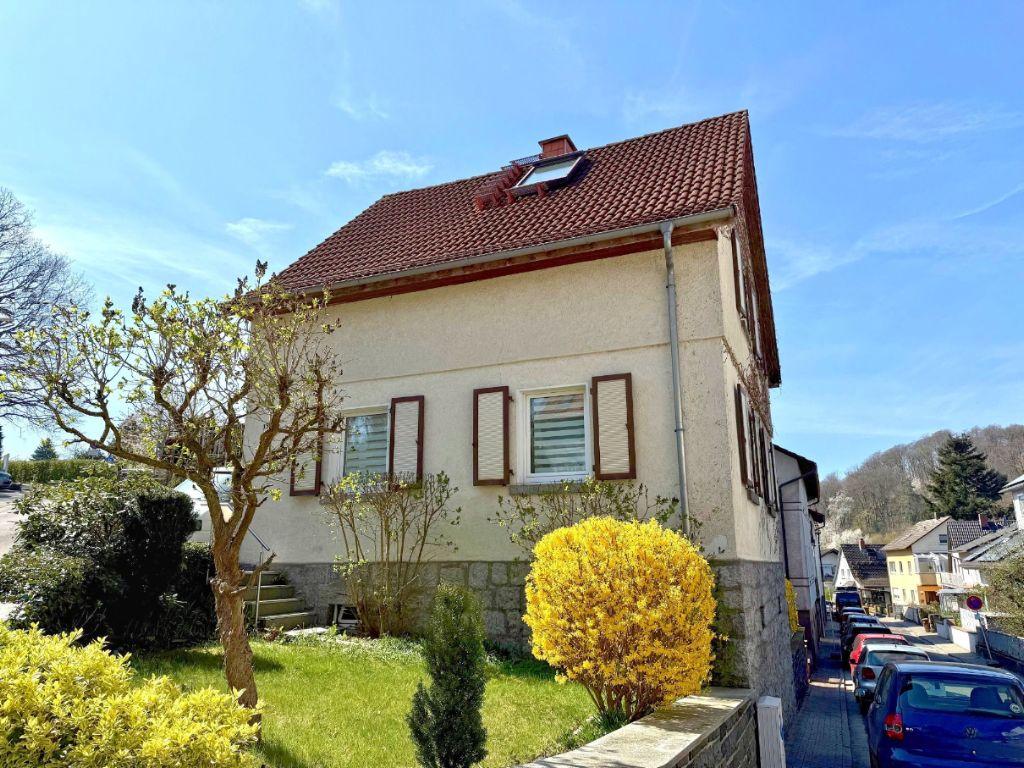 Bild1
