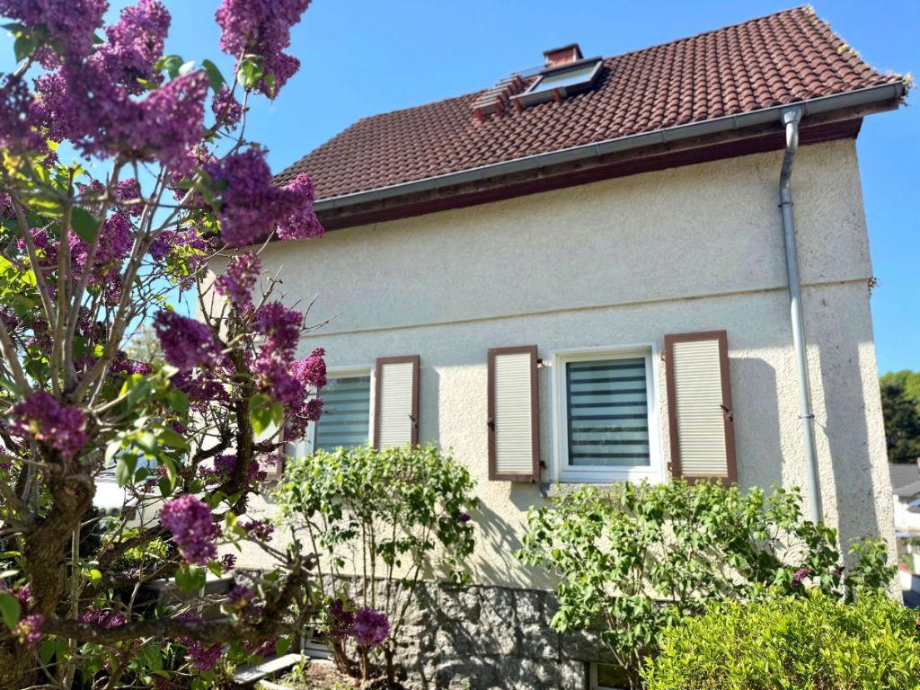 Bild6