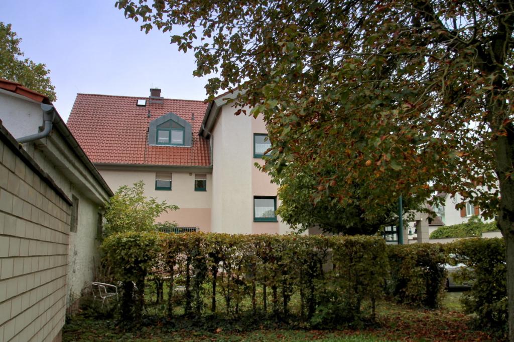 Rückseite 1