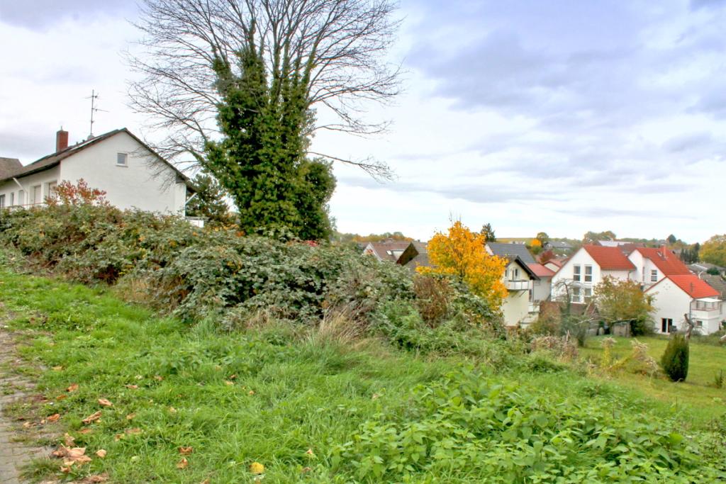 Ansicht