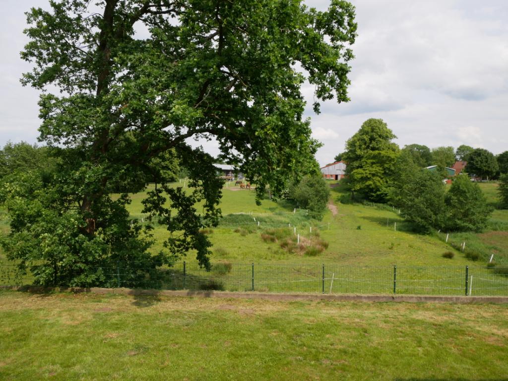 Ausblick Garten 