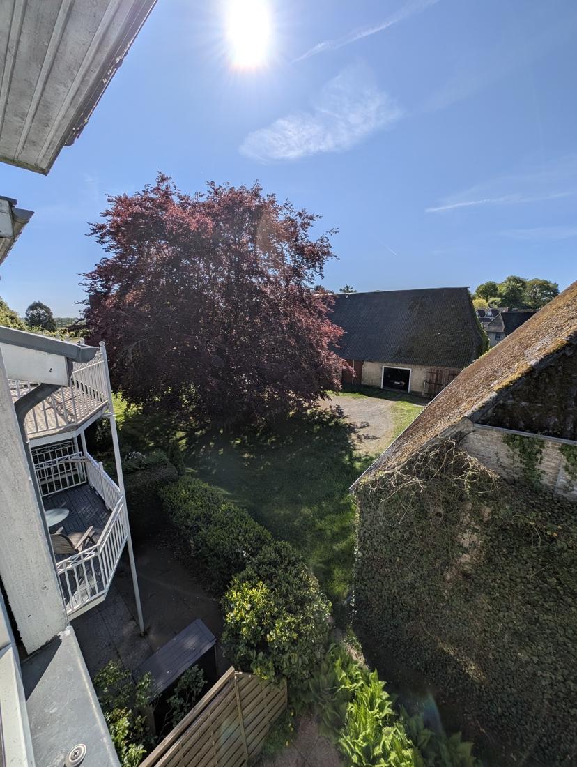 Und der Sonne entgegen