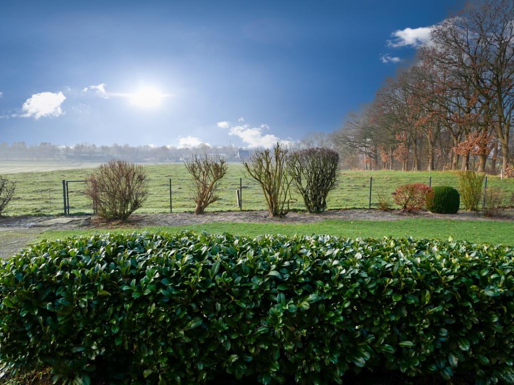 Blick aus dem Wintergarten